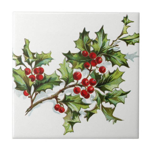 HollyBerries20150801 Fliese (Vorderseite)