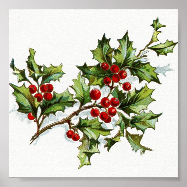 HollyBerries20150801 Poster (Vorne)