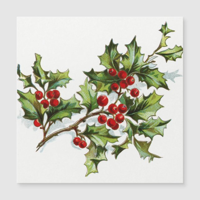 HollyBerries 001 Magnetkarte (Vorderseite)