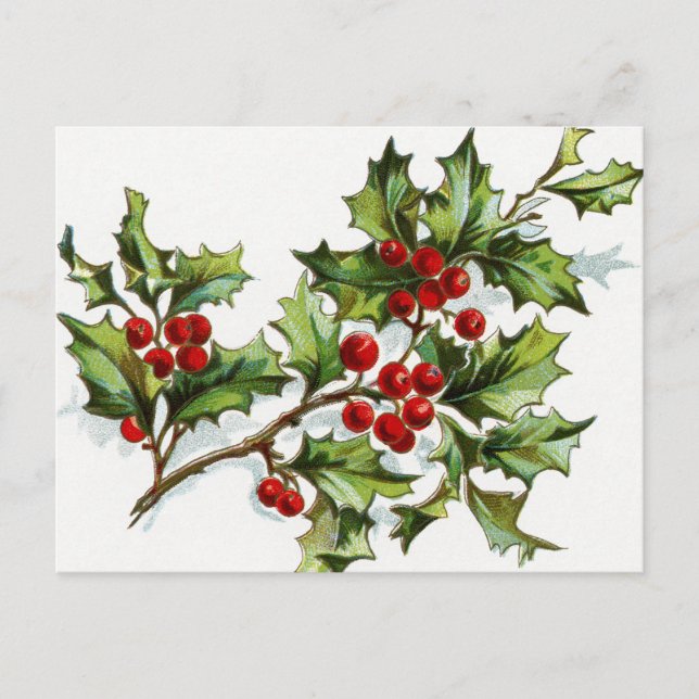 HollyBerries 001 Postkarte (Vorderseite)