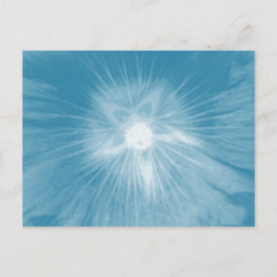 Hollyhock Blume Icy Blue Postcard Postkarte