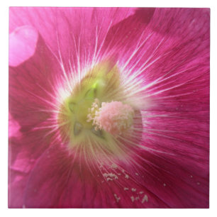 Hollyhock Deep Pink Tile Fliese