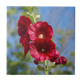 Hollyhock Fliese
