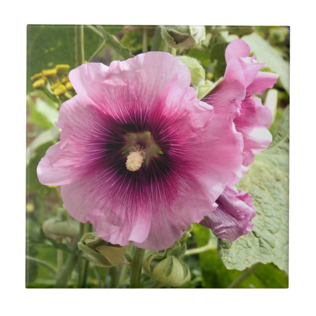HOLLYHOCK FLIESE (Vorderseite)