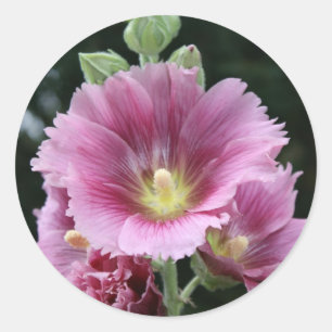 Hollyhock Runder Aufkleber