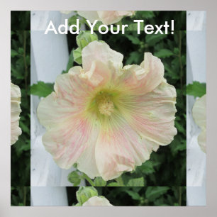 Hollyhock White Hübsche Blume Poster