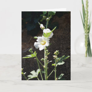 Hollyhocks-Blume Karte