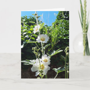 Hollyhocks-Blume Karte