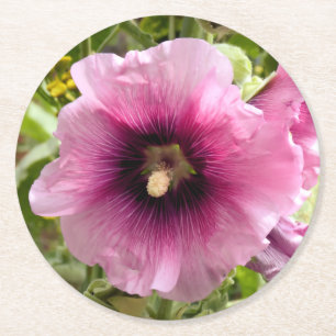 HOLLYHOCKS RUNDER PAPPUNTERSETZER