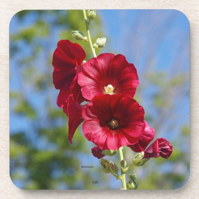 Hollyhocks Set von 6 Untersetzer aus Kunststoff (Vorderseite)