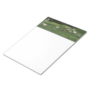 Holly's halbes Dutzend Romp-Notizblock Notizblock