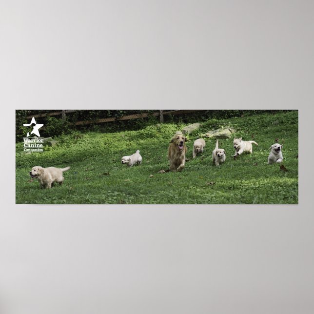 Holly's Half Dozen Romp Poster (Vorne)