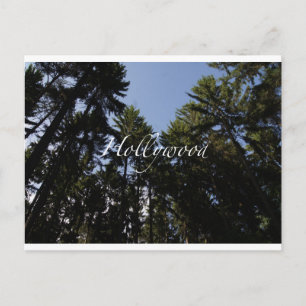 Hollywood - Grußkarte Postkarte