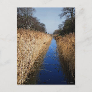 Holme Fen Dyke Postkarte