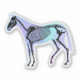 Holografisches Pferd Skelett Pferdeanatomie Aufkleber