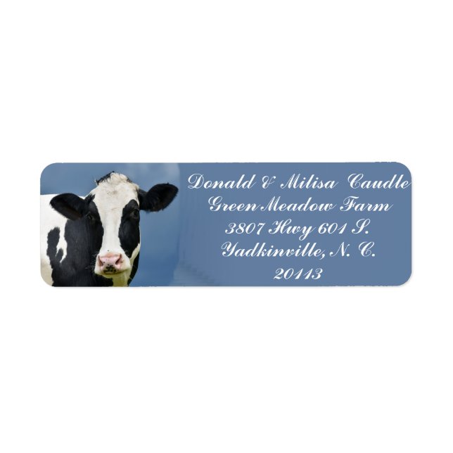 HOLSTEIN (Vorne)