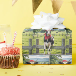 Holstein auf einem Farmzaun Geschenkpapier