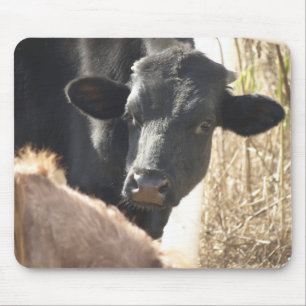 Holstein Bull Mousepad