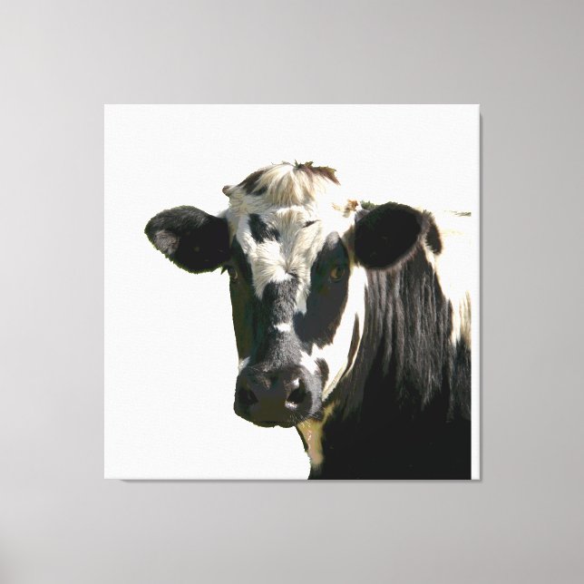 Holstein Cow Farm Animal Dairy Black & White Leinwanddruck (Vorderseite)