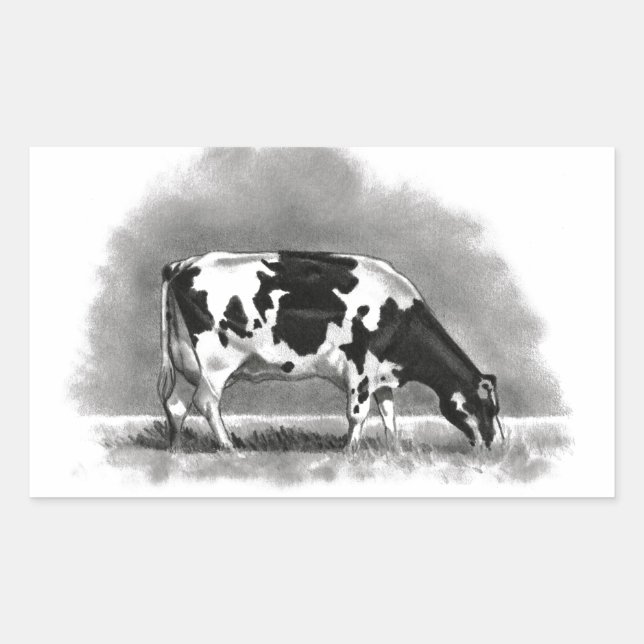 Holstein Cow Grazing: Realismus Pencil Zeichnend Rechteckiger Aufkleber (Vorderseite)
