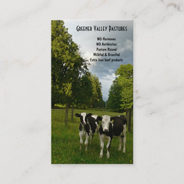 Holstein-Kalbfleisch-Kalbfleisch-Bauernhof Visitenkarte (Vorderseite)