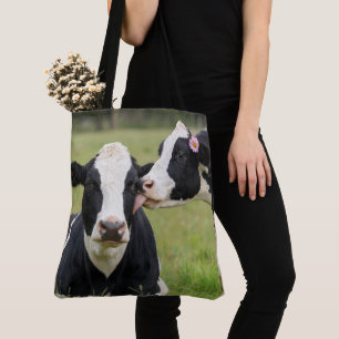 Holstein-Kuh küsst auf Weide auf dem Bauernhof Tasche
