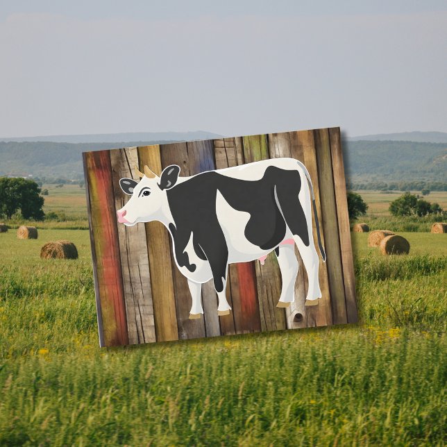 Holstein Kuh mit Altpappe Postkarte (Von Creator hochgeladen)