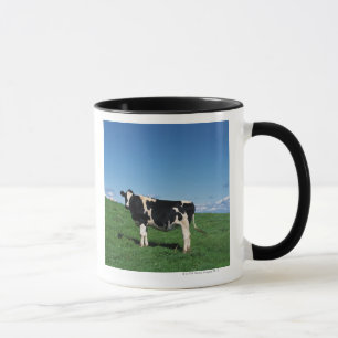 Holstein-Kuh stehend auf dem Gebiet, Bekkai-Machi, Tasse