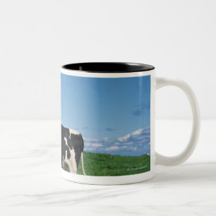Holstein-Kuh stehend auf dem Gebiet, Bekkai-Machi, Zweifarbige Tasse