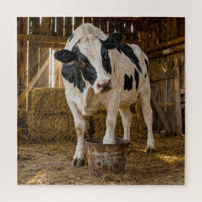Holstein-Kuh steht in einem rostigen Eimer (Vertikal)