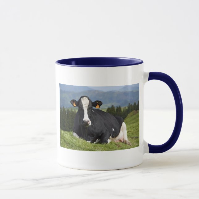 Holstein-Kuh Tasse (Rechts)