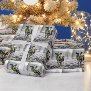 Holstein Kuh trägt einen Weihnachtsschrei Geschenkpapier