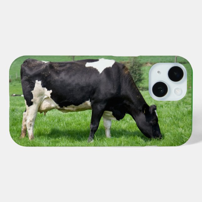 Holstein Kuh Weiden in Weide Case-Mate iPhone Hülle (Rückseite (Horizontal))