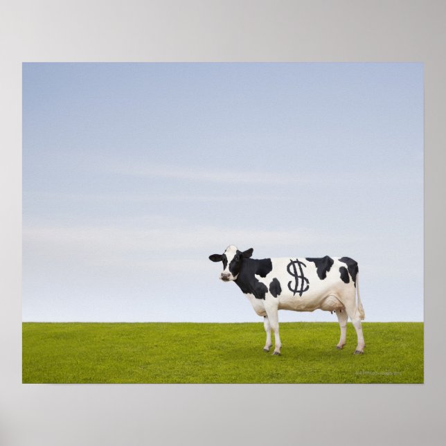 Holstein Milchkuh mit Flecken in Form Poster (Vorne)