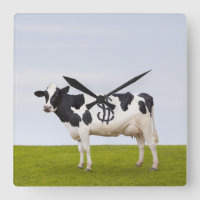 Holstein Milchkuh mit Flecken in Form