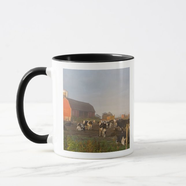 Holstein Milchkühe außerhalb einer Scheune bei Son Tasse (Links)