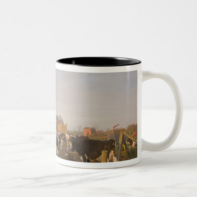 Holstein Milchkühe außerhalb einer Scheune bei Son Zweifarbige Tasse (Rechts)