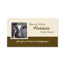 Holstein-Molkerei oder Mastvieh-Foto