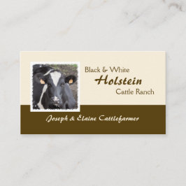 Holstein-Molkerei oder Mastvieh-Foto Visitenkarte