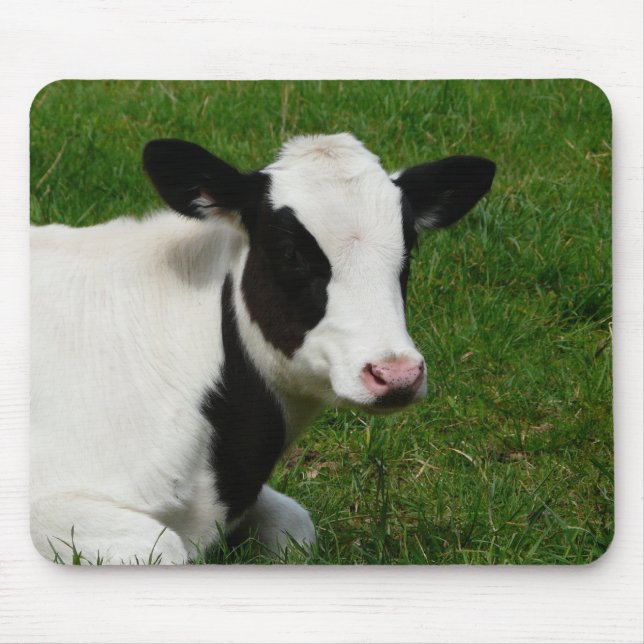 Holstein-Molkereimilch-Kuh auf Gras Mousepad (Vorne)
