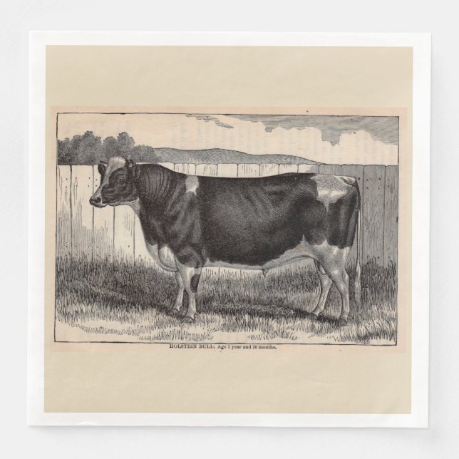 Holsteinbulle aus dem 19. Jahrhundert Serviette (Vorderseite)