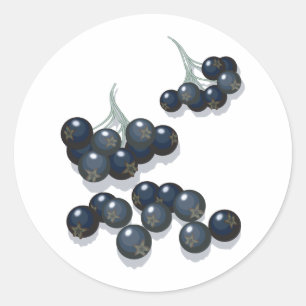 Holunderbeeren Runder Aufkleber
