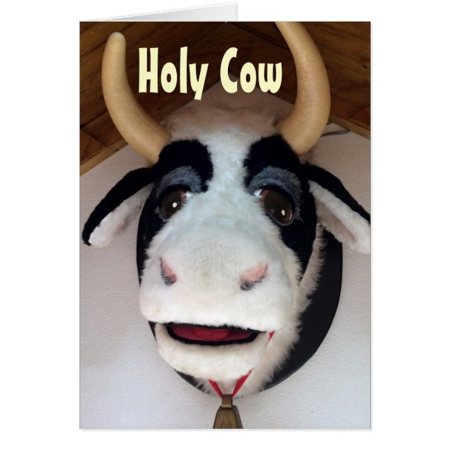HOLY COW DU BIST 40? WIE? (Vorne)