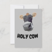 HOLY COW, Kuh Gesicht Danke Karte