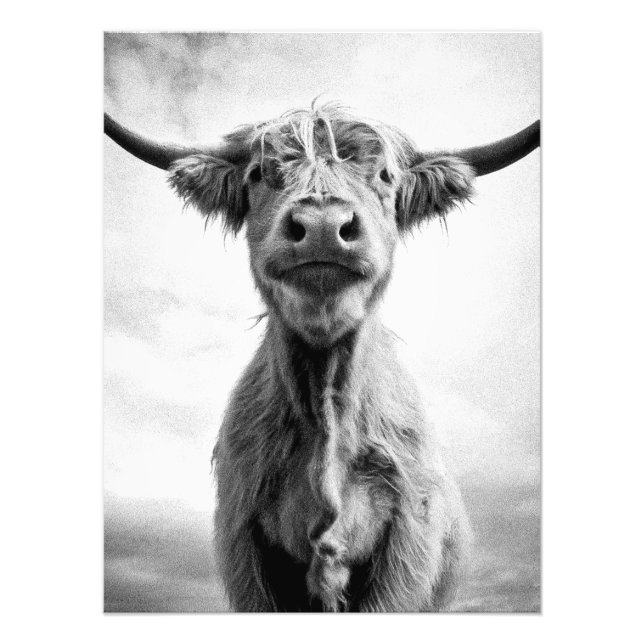 Holy Cow Mesotint Art Fotografy Fotodruck (Vorne)