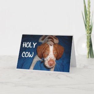 HOLY COW SAGT PUP: "SIE WERDEN 70" KARTE