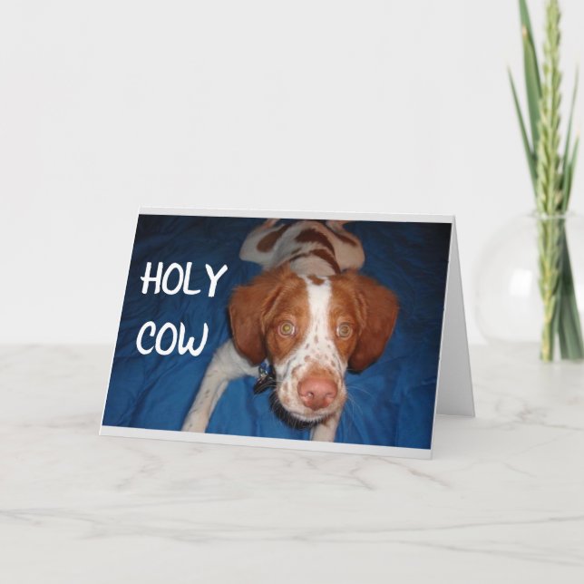 HOLY COW SAGT PUP: "SIE WERDEN 70" KARTE (Vorderseite)