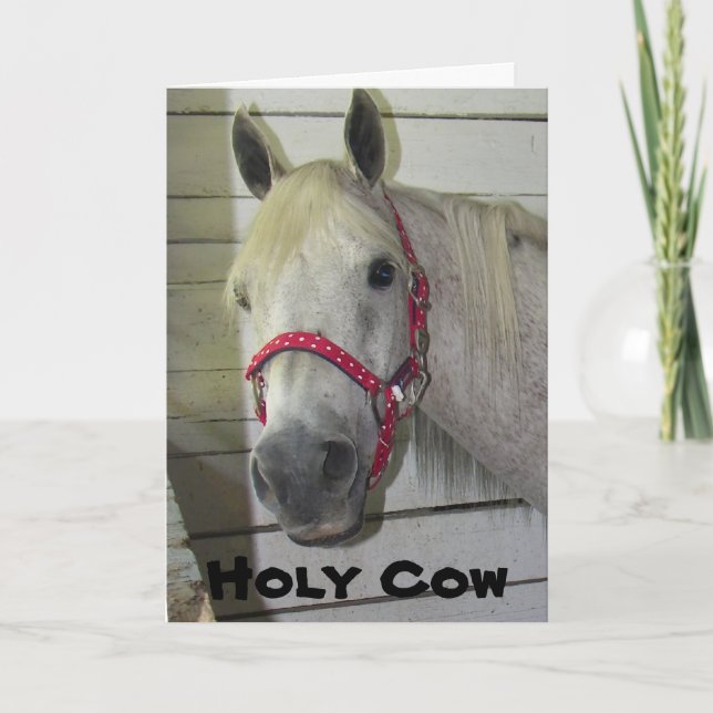 HOLY COW YOUNG FILLY ***HAPPY BIRTHDAY*** KARTE (Vorderseite)