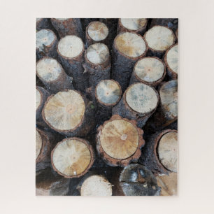Holz Baumstämme Original Naturfotografie 