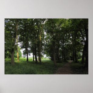 Holz, Bute Park Cardiff Poster